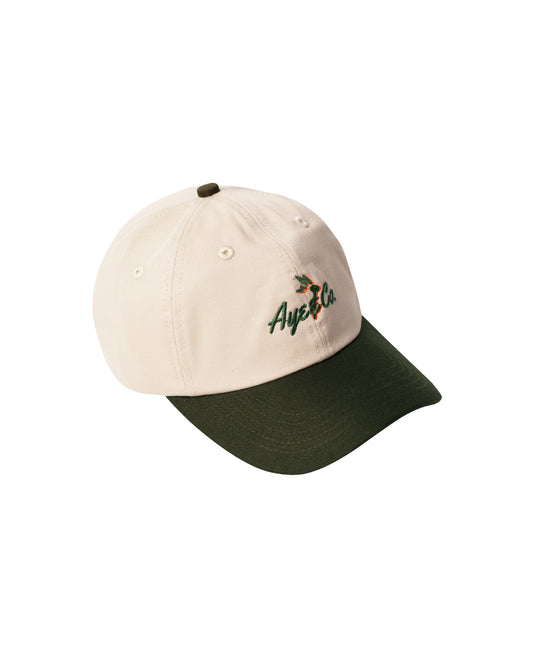 Anabe Two Tone Cap - Green