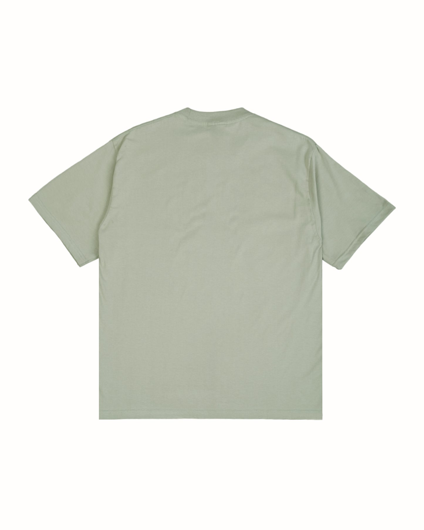 Notari Pale Green Relaxed Fit Tees